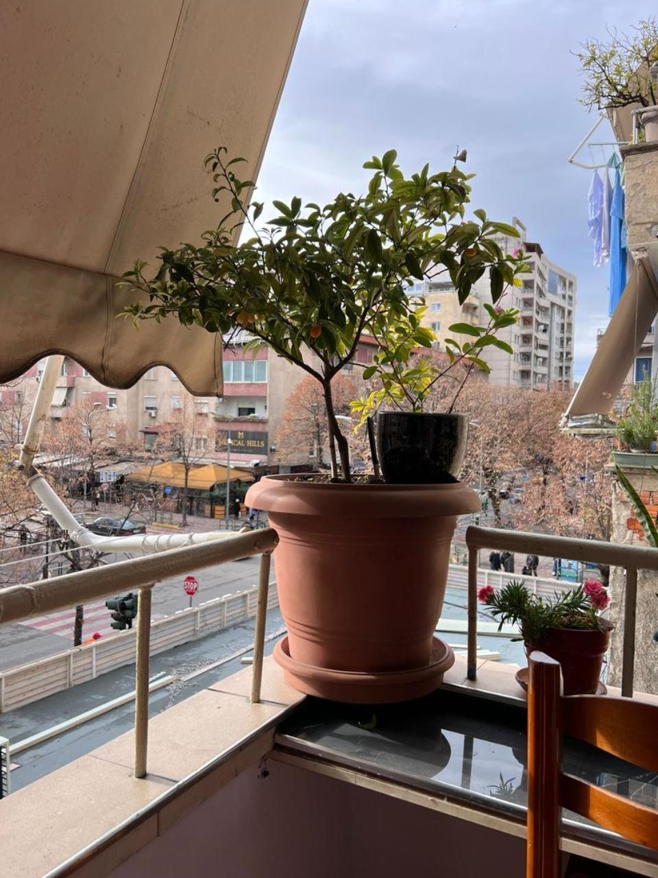 3M Urban Stay Tiran Dış mekan fotoğraf